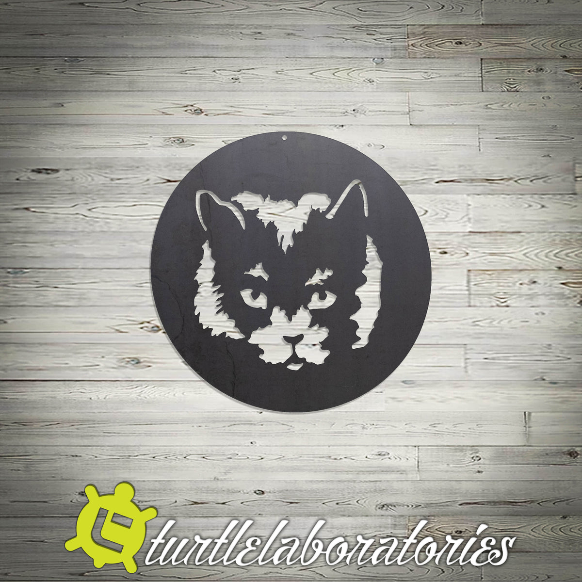 Cats – Turtle Laboratories