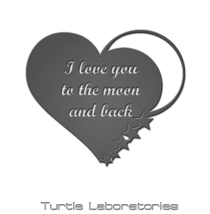 I love you to the Moon and Back