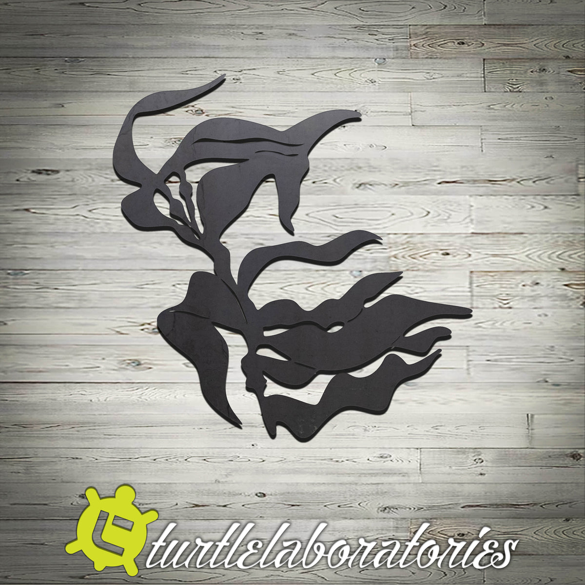 Seascapes – Turtle Laboratories