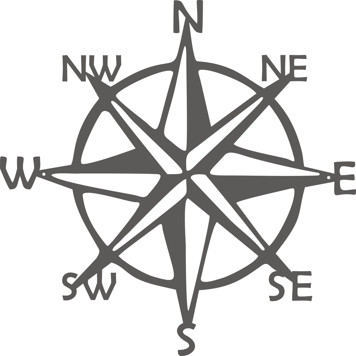 Compass CUSTOM Turtle Laboratories Compass custom turtle laboratories