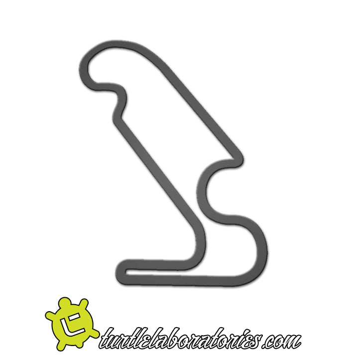 Auto Plus Raceway at Gainesville Race Track Sculpture – Turtle Laboratories