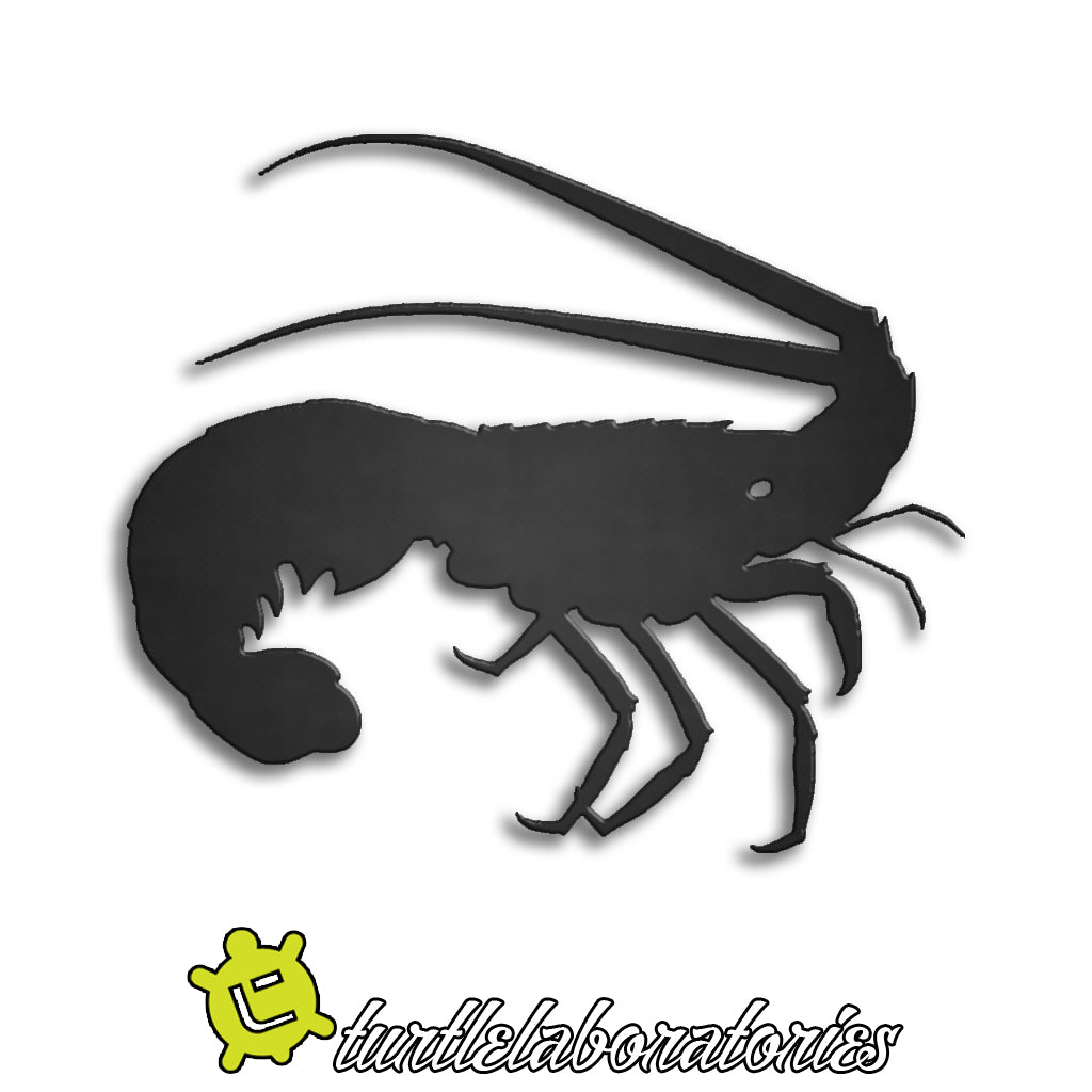Spiny Lobster – Turtle Laboratories